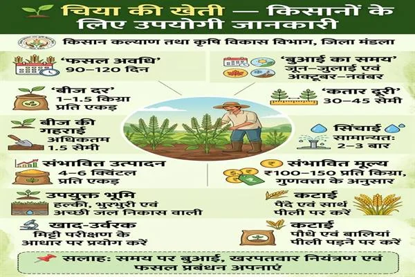 चिया की खेती से जुड़ी जानकारी वाला हिंदी पोस्टर, जिसमें किसान, फसल, बीज, सिंचाई और उपज के चित्र बने हैं